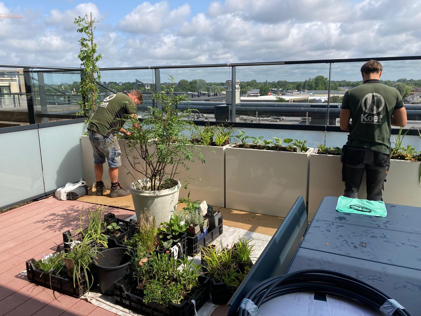 Balkontuin op 6 Hoog - Aanleg