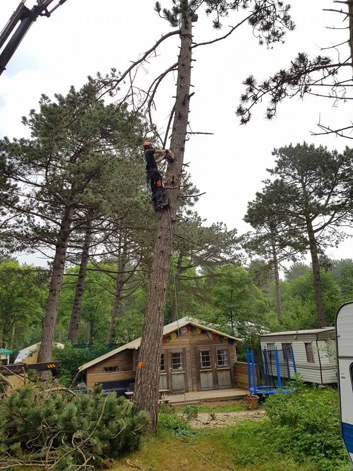 Duurzame tuinprojecten