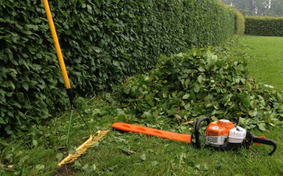 Koet Tuin & Boomzorg vakmanschap